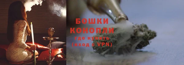PSILOCYBIN Медвежьегорск