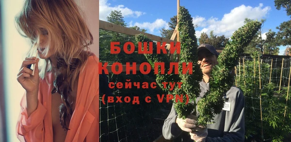 apvp Медногорск