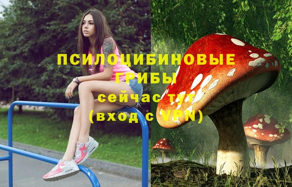 кокс Магас
