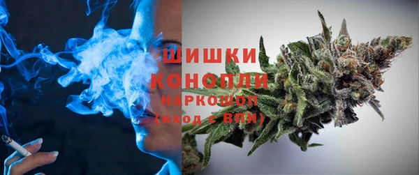 PSILOCYBIN Медвежьегорск