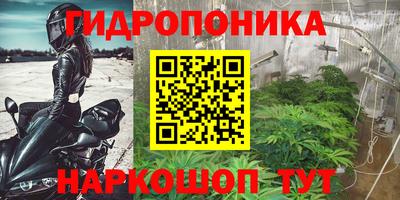 ешки Волгодонск