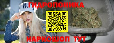 ешки Волгодонск