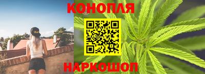 прущие грибы Беслан