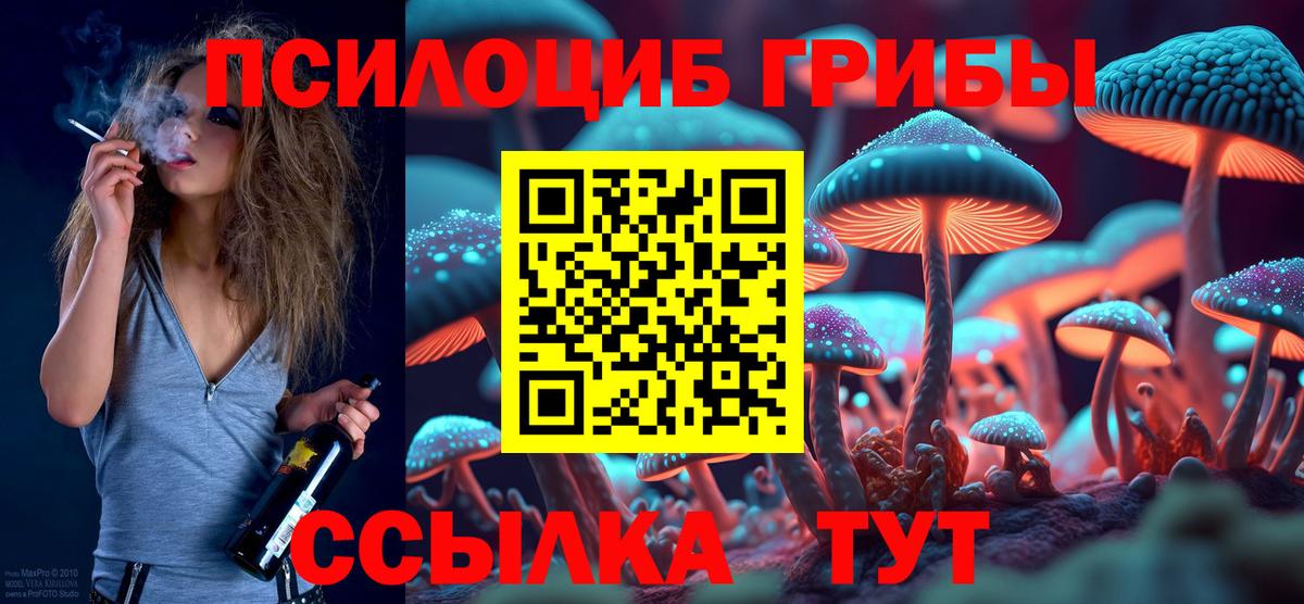 Псилоцибиновые грибы Magic Shrooms  Галлюциногенные грибы Magic Shrooms  Дербент  Вход с VPN 