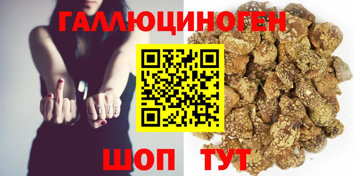 Галлюциногенные грибы Magic Shrooms Дербент