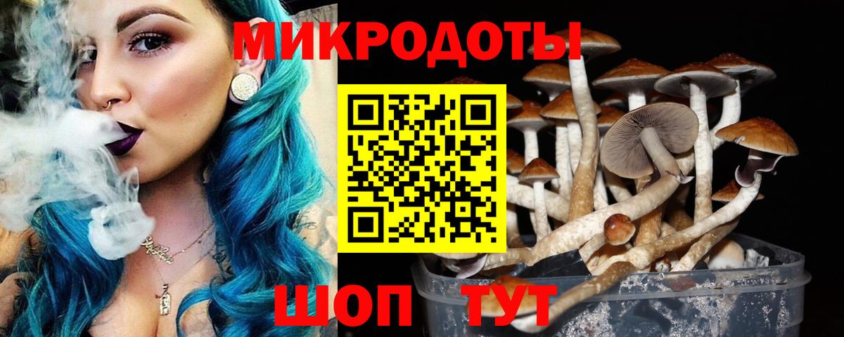 Галлюциногенные грибы GOLDEN TEACHER  Дербент 