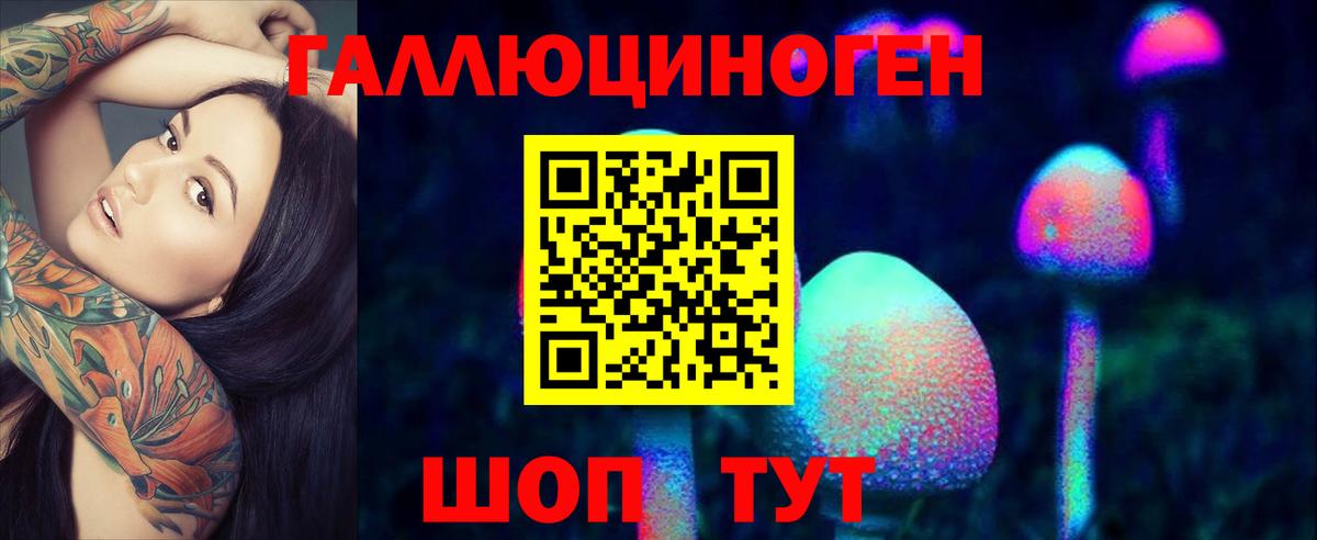 Галлюциногенные грибы Psilocybe Дербент