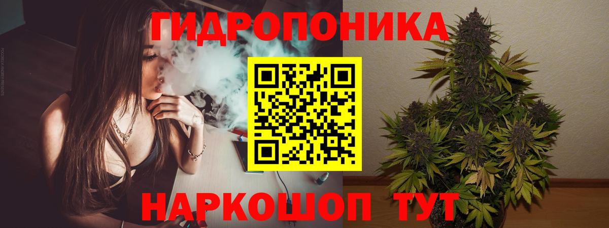 Бошки марихуана White Widow Дербент
