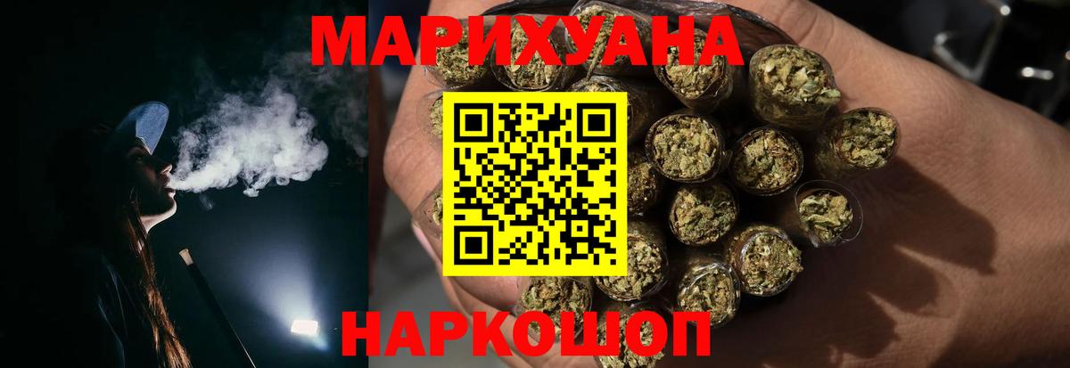 Канабис сатива  Дербент  Марихуана планчик 